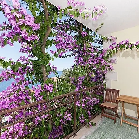 16 Appartement